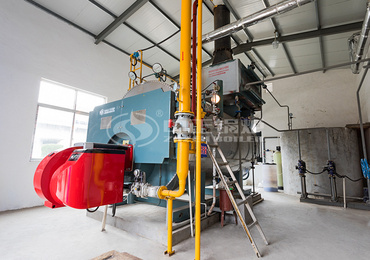 10 tph WNS condensing gas-fired steam boiler