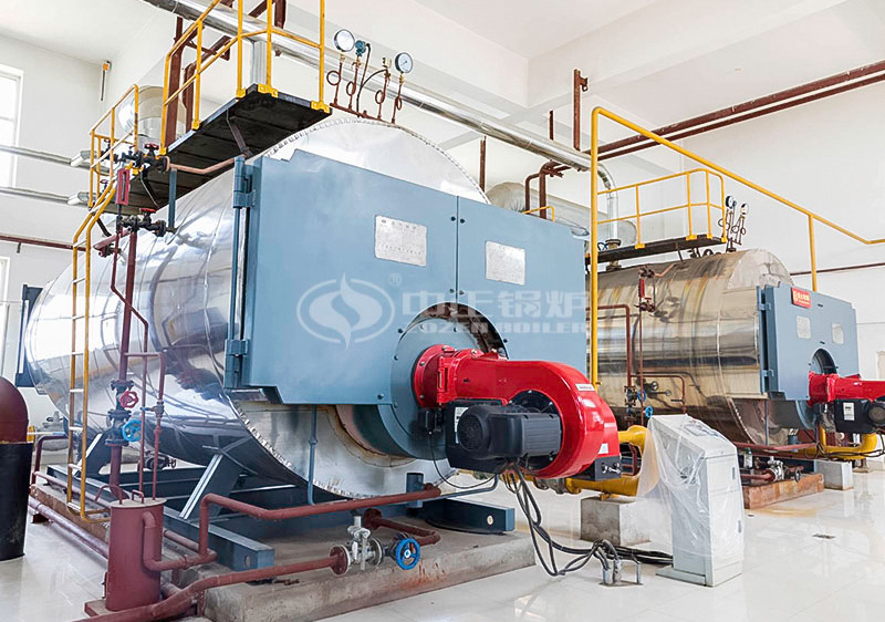 Coal Fired Boiler