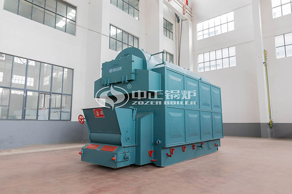 Design dzl coal fired boiler system