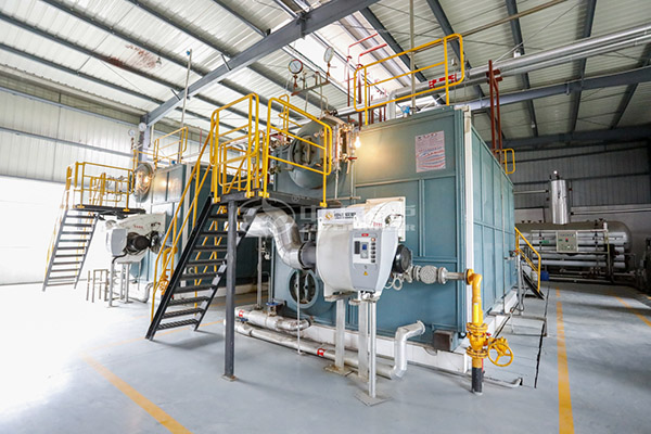 Coal Fired Boiler