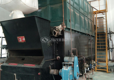 12 ton steam boiler for pharmaceutical industry  