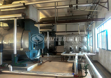 12 ton steam boiler for pharmaceutical industry  