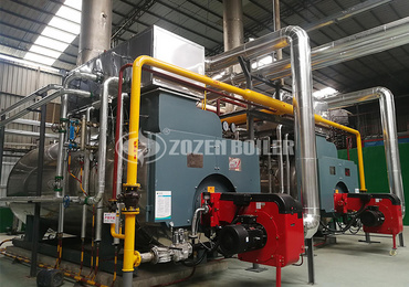 10 ton WNS series condensing gas-fired steam boiler project  