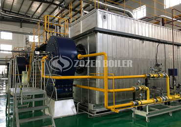 20 ton SZS condensing gas-fired steam boiler project  