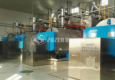 2.8mw WNS series gas-fired hot water boiler project in modern agricultural park  