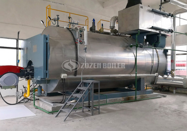 Hotel 6 tons WNS series condensing gas-fired boiler project