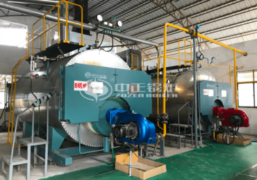 30 tons water tube gas-fired steam boiler