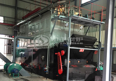 30 tons water tube gas-fired steam boiler