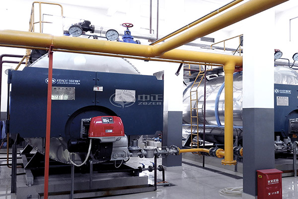 2.8mw WNS series gas-fired hot water boiler project in modern agricultural park 