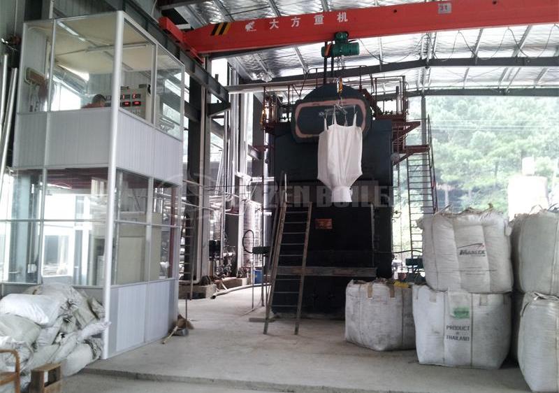 High Efficiency Dzl Coal Wood Fired Chain Grate Steam Boiler 