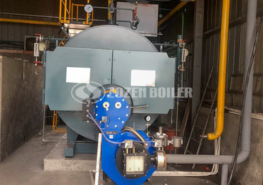 What is the lower cost of biomass boilers and coal-fired boilers?