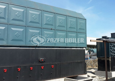 What is the lower cost of biomass boilers and coal-fired boilers?