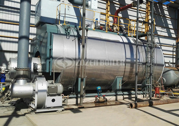 DZL Packaged Coal Fired Boiler For Sale?