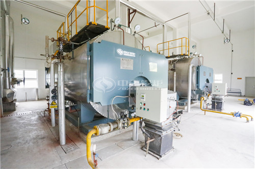 15 ton coal-fired industrial steam boiler in Vietnam