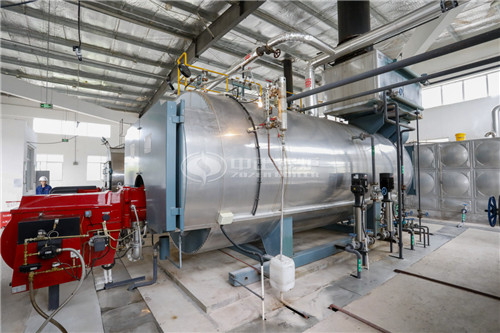 15 Ton Capacity Gas Fired Steam Boiler