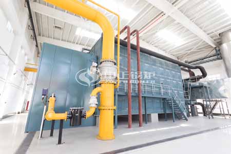 Gas Fired Steam Boilers Uses