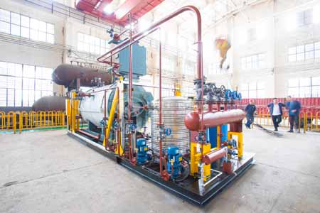 SZL Steam boiler supplier in bangladesh