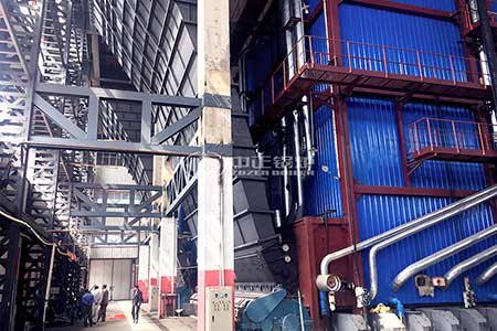 Biomass Fired Circulating Fluidized Bed Boiler Cost