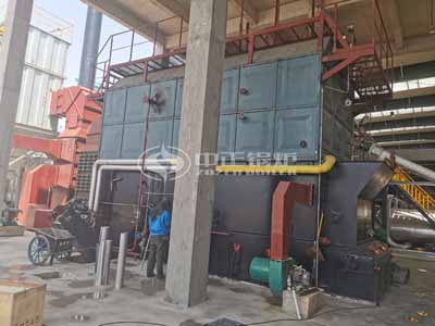 Rice Husk Biomass Steam Boiler In Myanmar