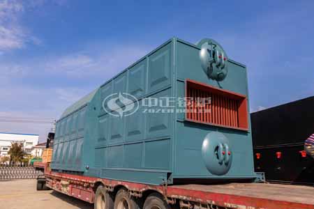 15 Ton Biomass Fired Steam Boiler Cost