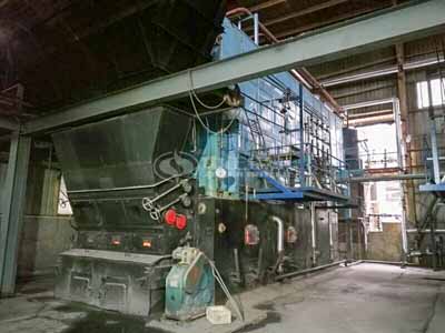 Biomass Fired Steam Boiler For Sale In Sri Lanka