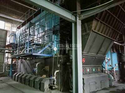 Biomass Fired Steam Boiler For Sale In Sri Lanka